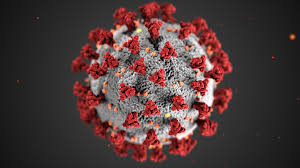 A picture of a COVID-19 Virus Picture