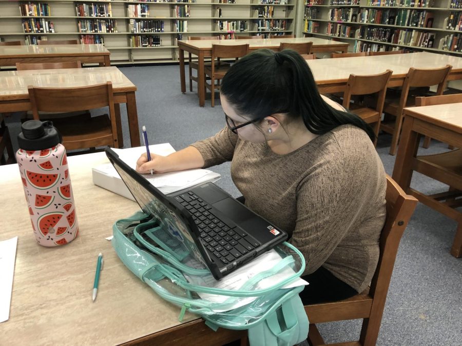 Cornell Notes Gain Popularity at LCHS